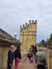 PICTURES/Cordoba - The Alcazar/t_20231031_095024.jpg